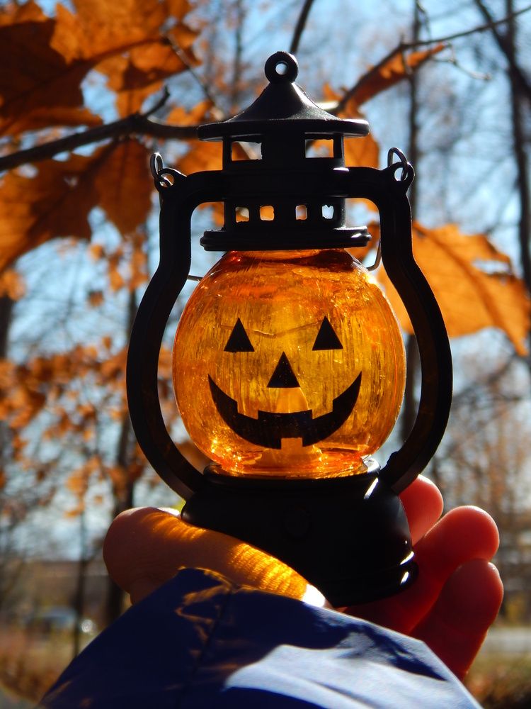 Тыковка в руке.