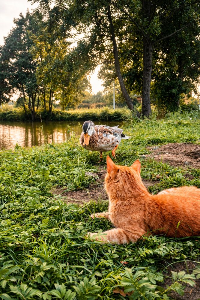 Photograph by Миша Лавашик