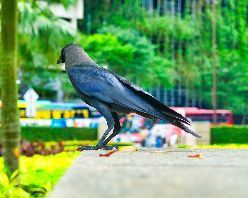 Фотография автора Nam Phạm