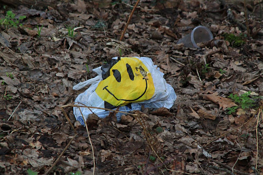 Photograph by Алексей Федулов