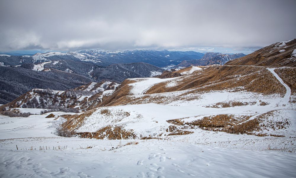 Photograph by Мария Кольцова