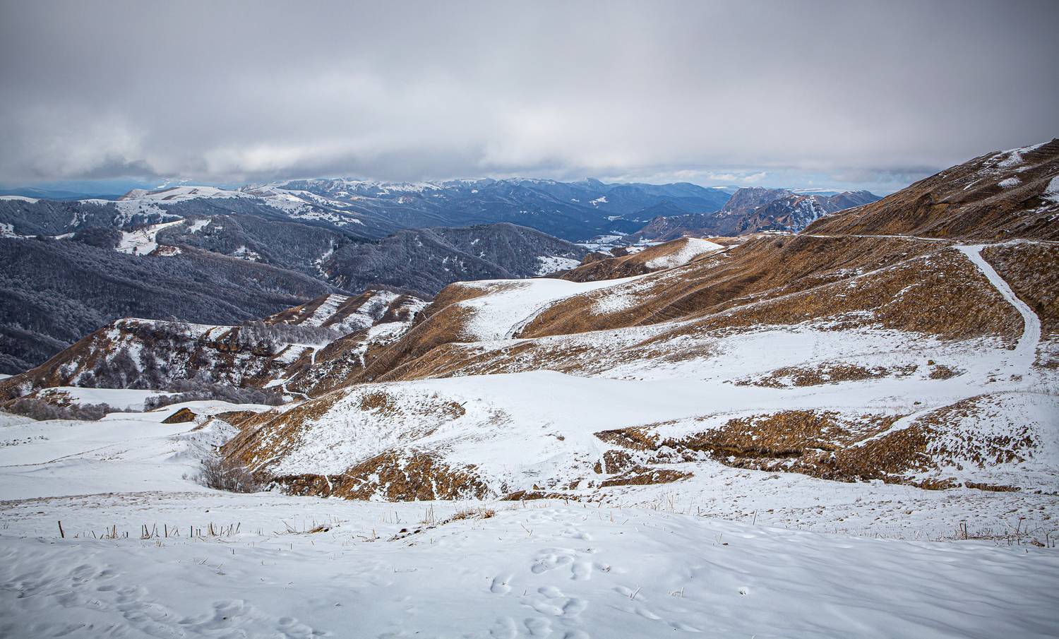 Фотография #13120496