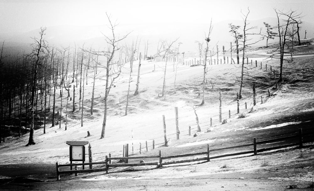 Фотография автора Павел Мартюшев