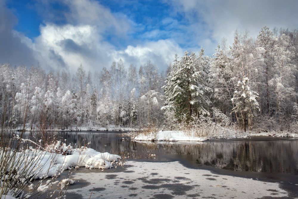 Photograph by Алексеев Дмитрий