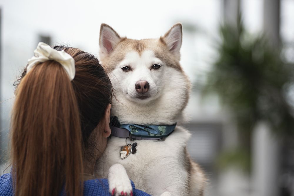 Photograph by Ivan Sosa