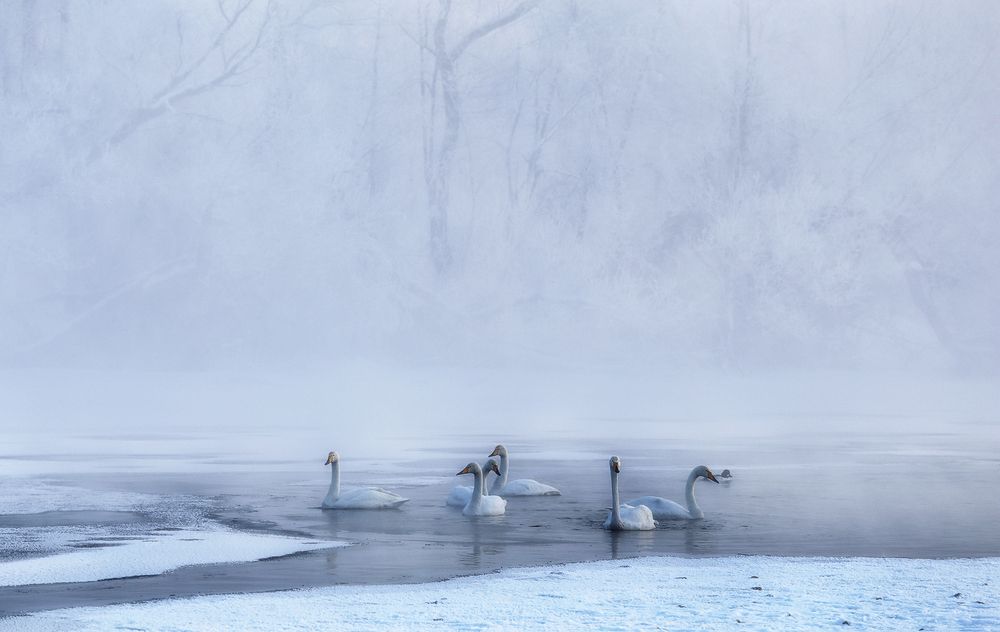 Photograph by Галина Хвостенко