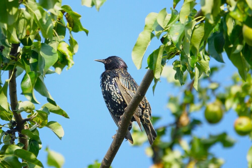 Photograph by jelena konickaja