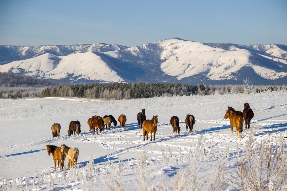 Photograph by Наиль Шакиров