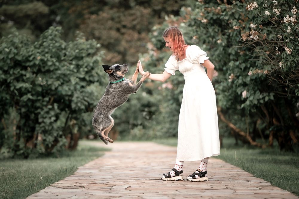 Photograph by Ольга Пачина