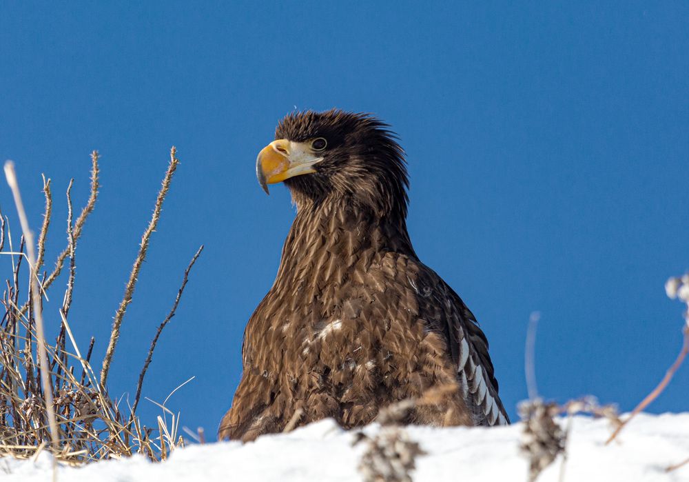 Photograph by Владимир