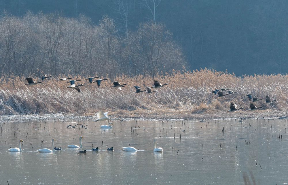 Photograph by Myunggyu Bae