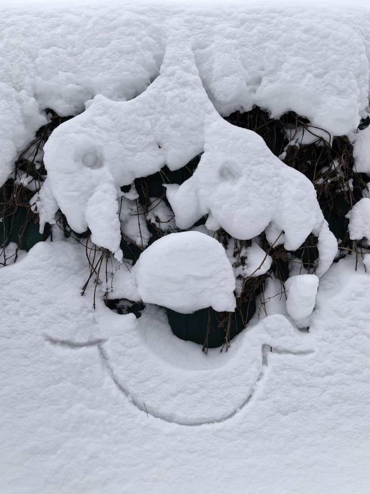 Фотография автора Елена Охапкина