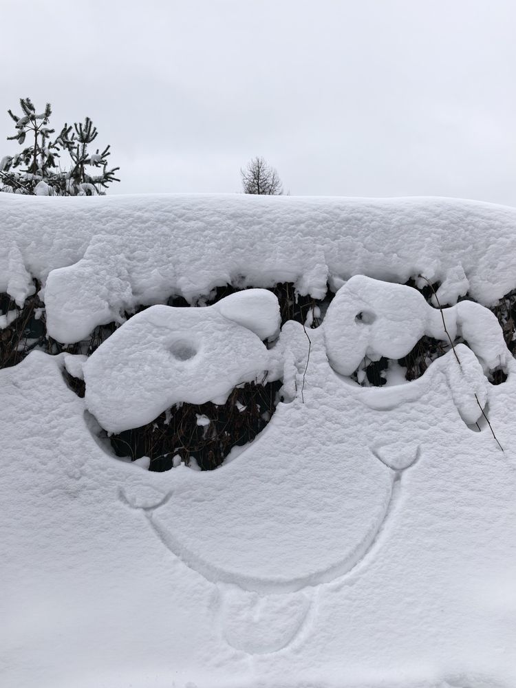 Фотография автора Елена Охапкина