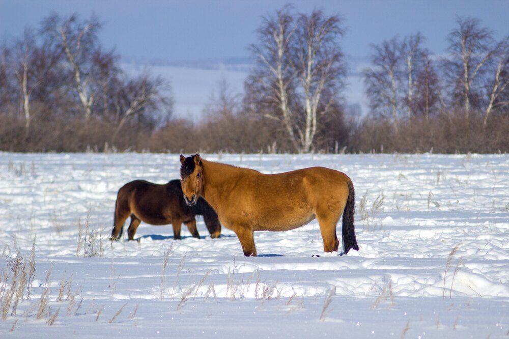 Photograph by Наиль Шакиров