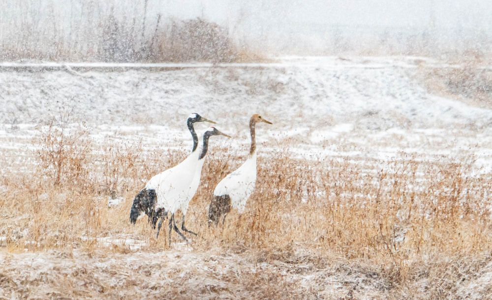 Photograph by Myunggyu Bae