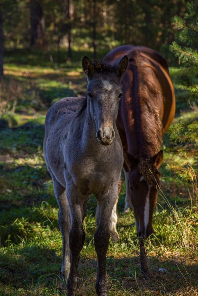 Photograph by Наиль Шакиров