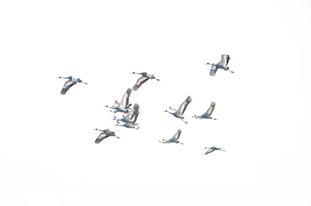 Photograph by Myunggyu Bae