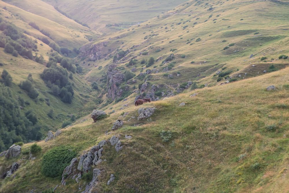 Photograph by Максим Белов