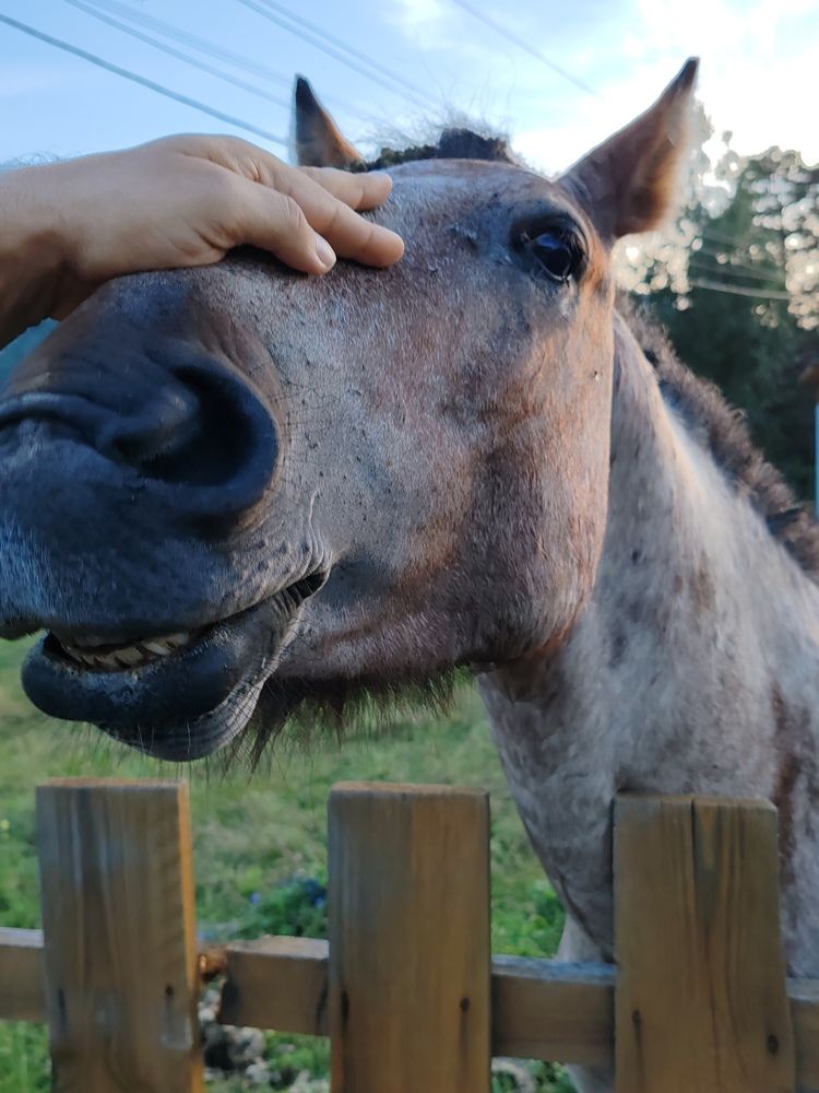 Photograph by Наталья Круглова