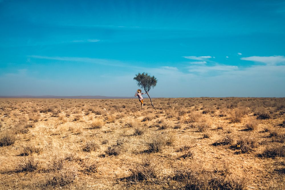 One tree. One sky, One moment