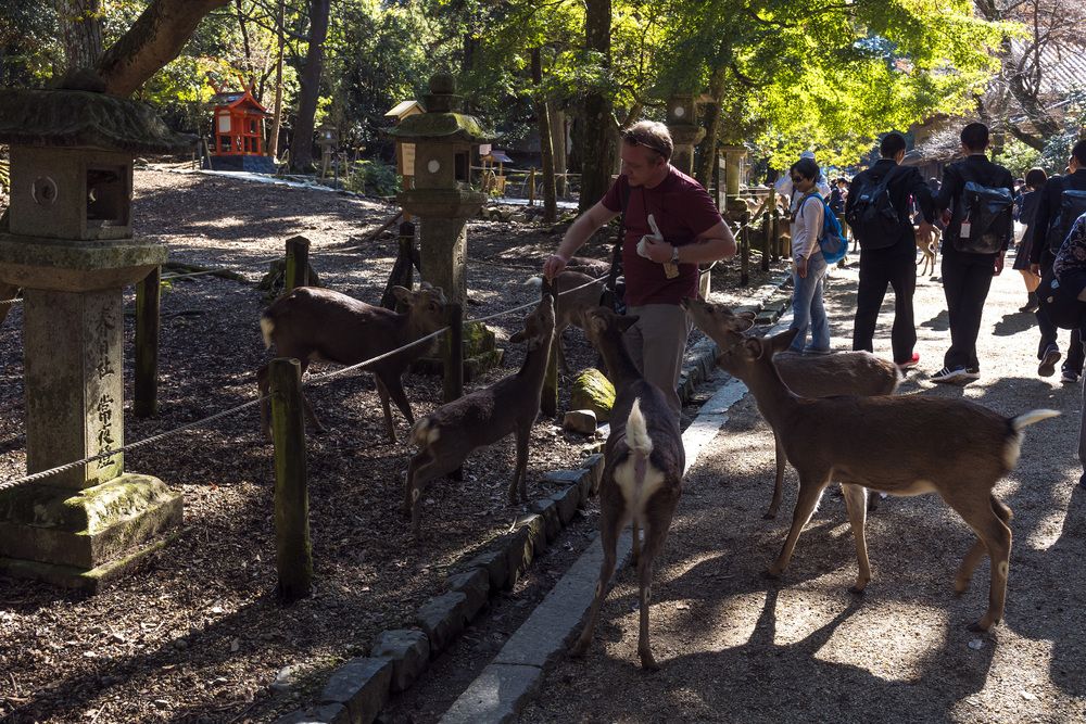 Photograph by Александр Журавлев