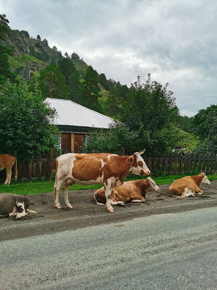 Photograph by Наталья Круглова