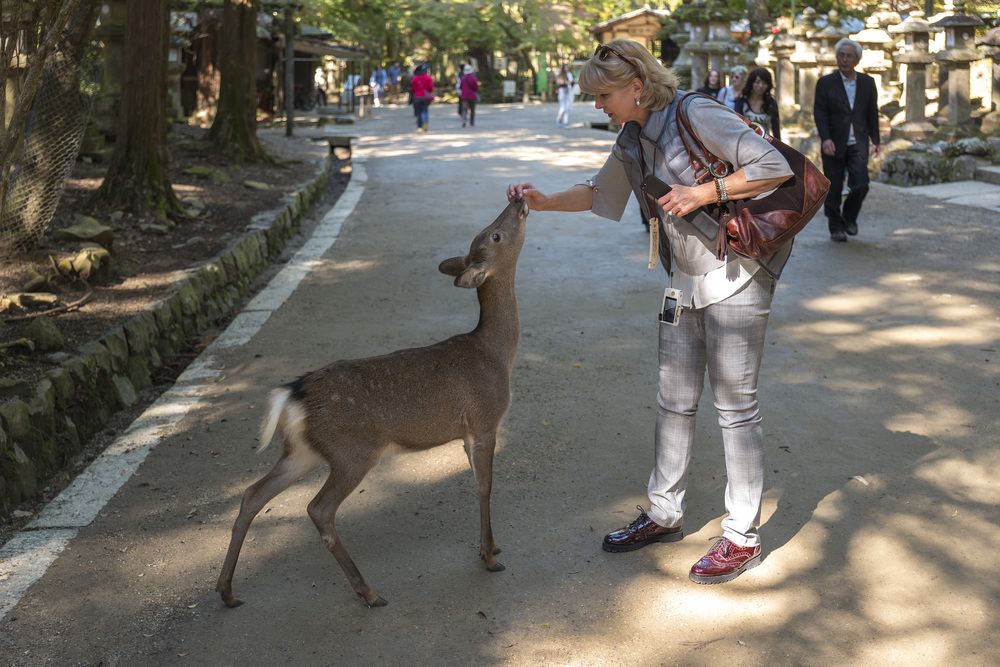 Photograph by Александр Журавлев