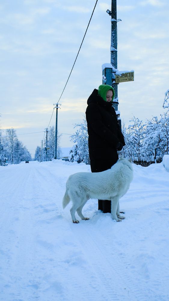 Photograph by Иван Бортяков