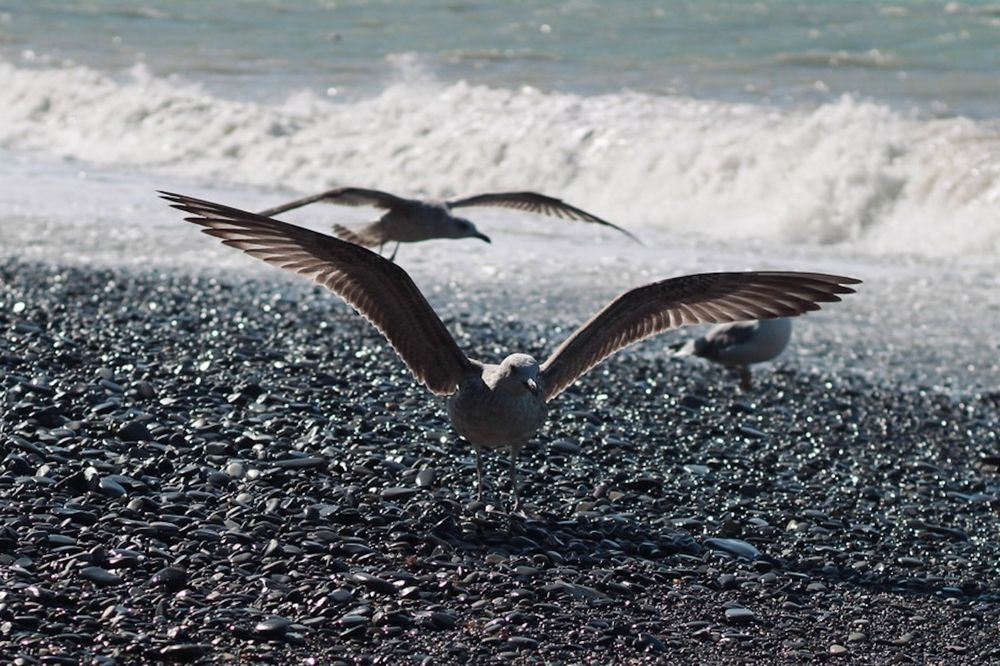 Photograph by Наталия Столяр