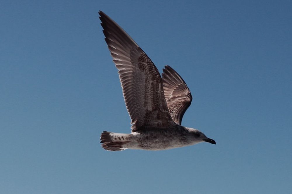 Photograph by Наталия Столяр