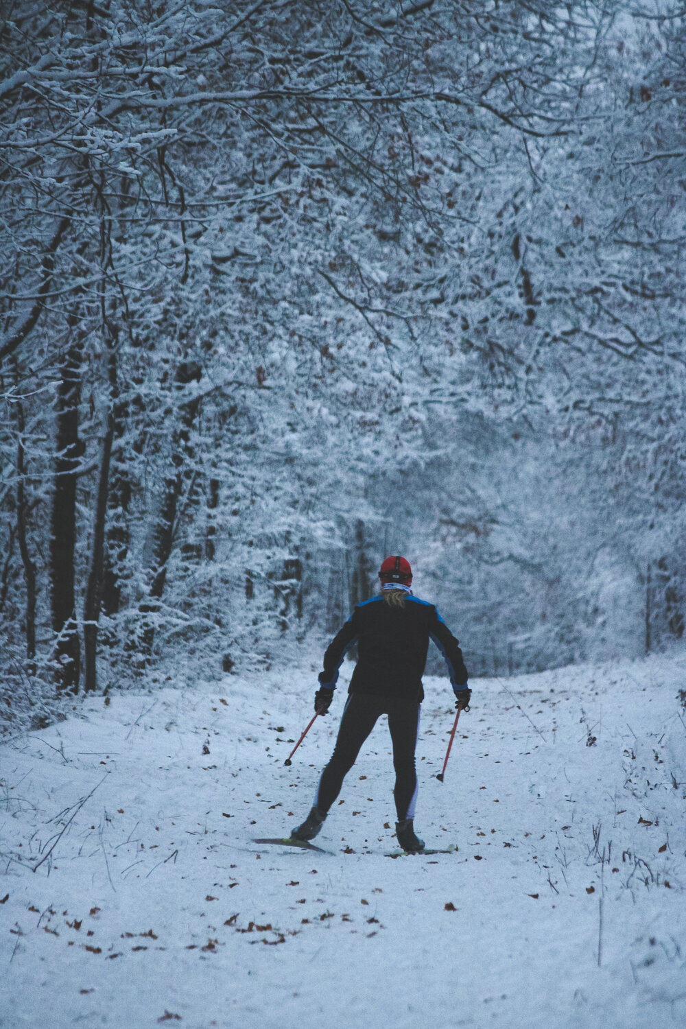 Photo #13121073