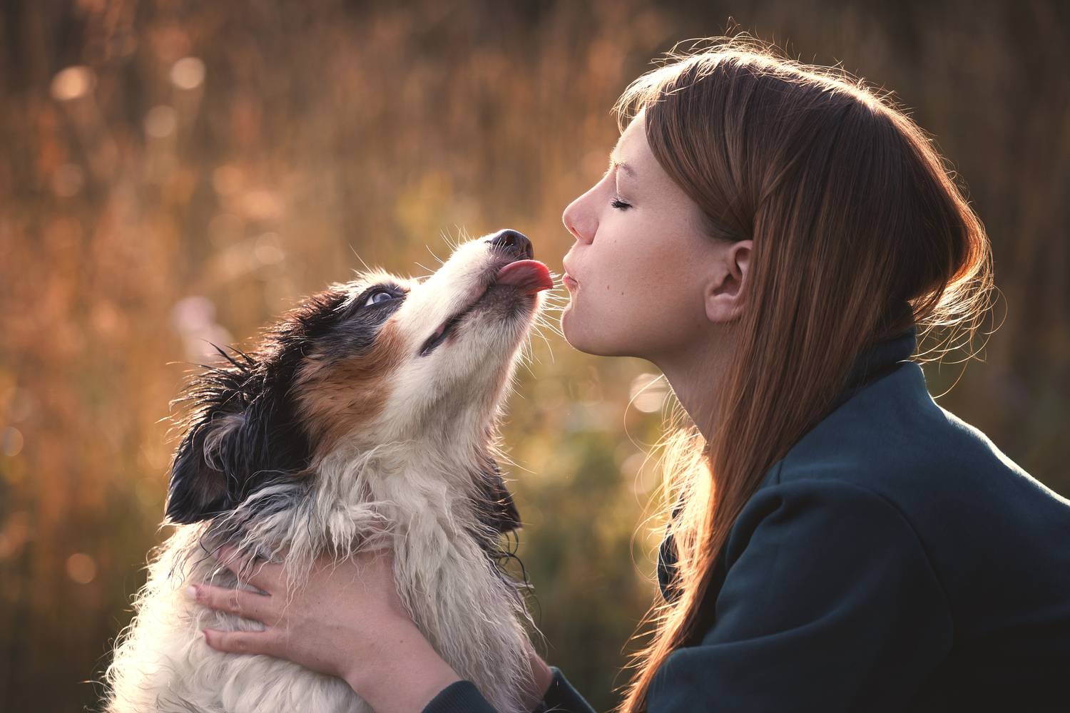 Фотография #13121077