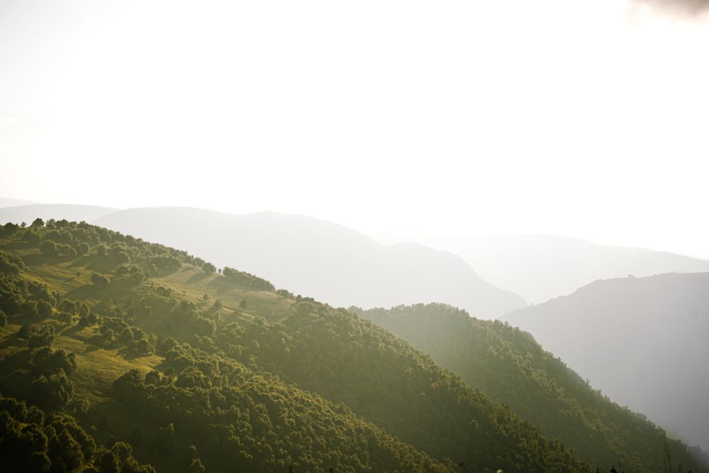 Photograph by Alina Orlova