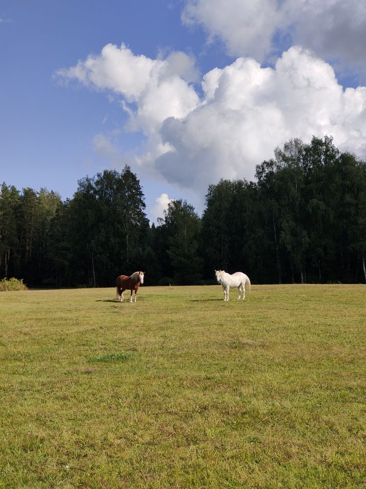 Photograph by Александр Коваль