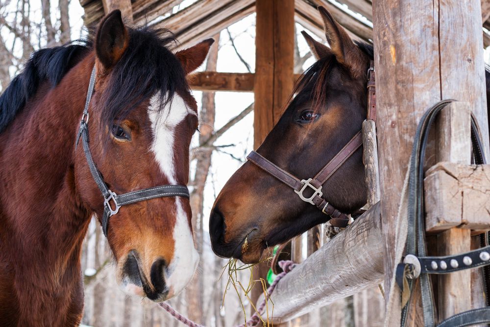 Photograph by Прохоров Денис