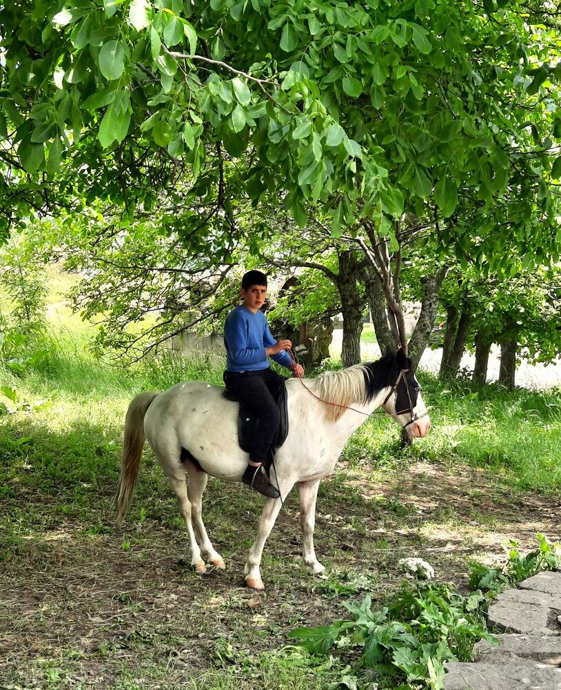 Photograph by Елена Пикатова