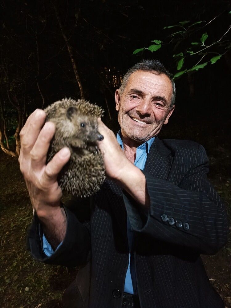 Photograph by Елена Пикатова