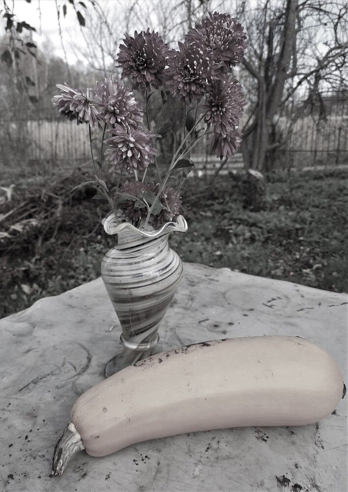 Фотография автора Елена Пикатова