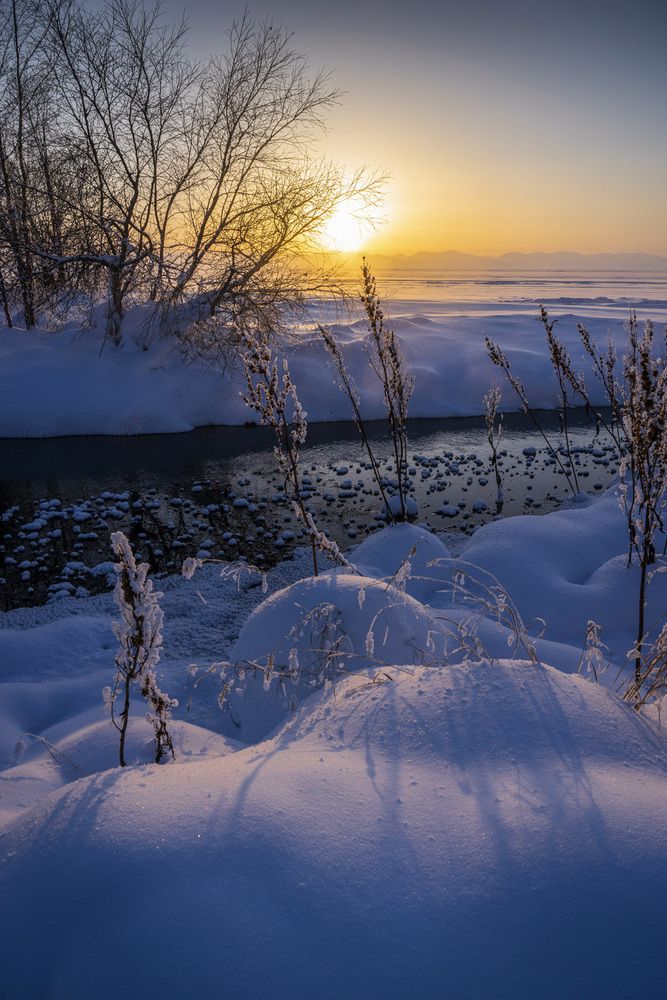 Фотография автора Татьяна Добровольская