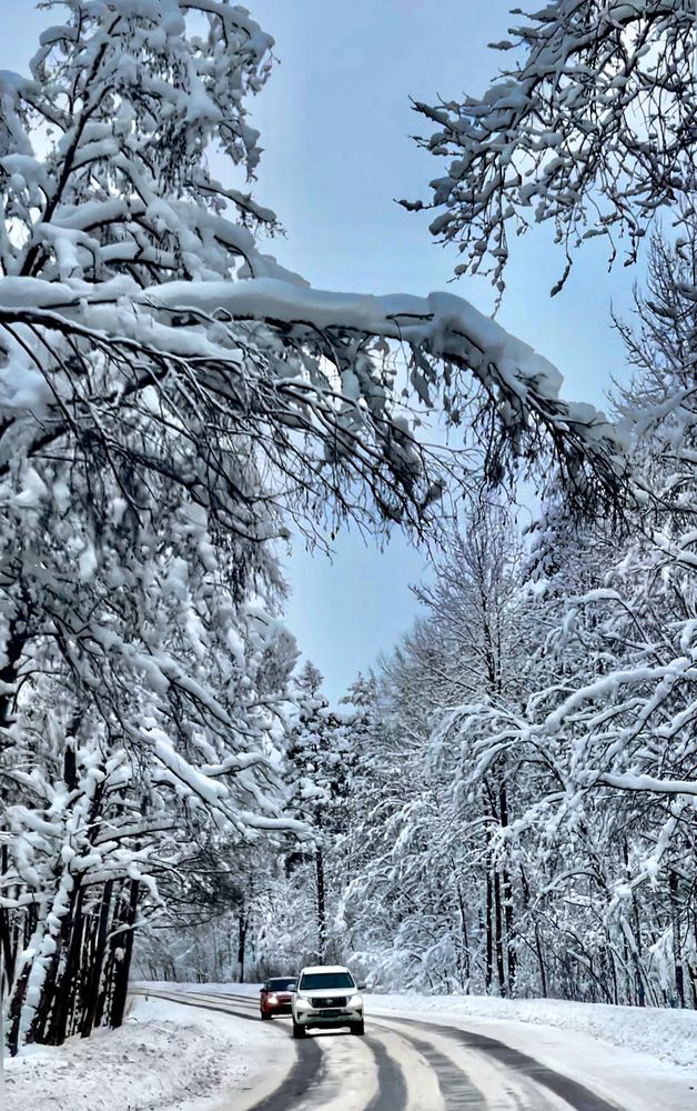 Photograph by Татьяна Собина