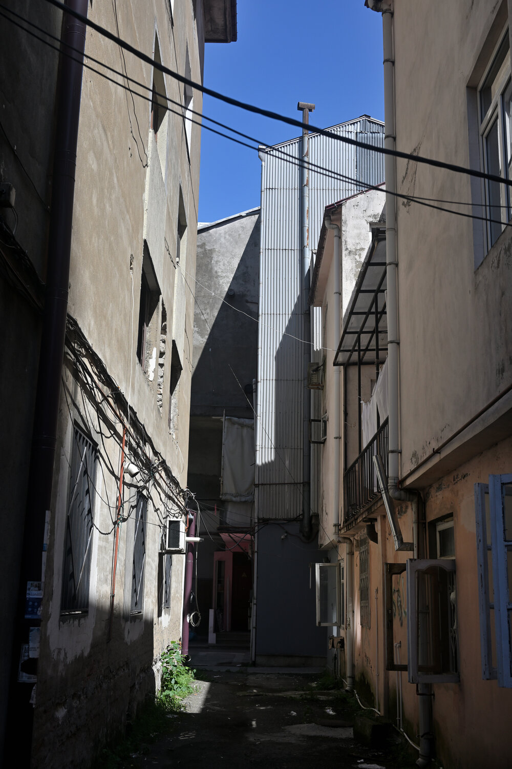 Photo #13121187