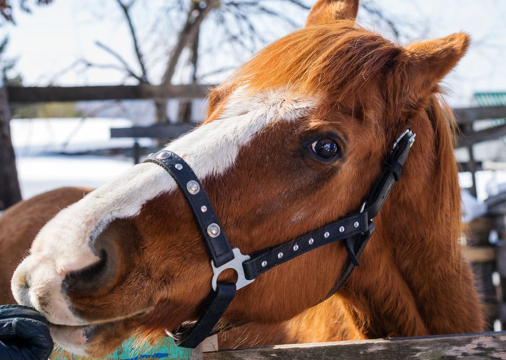 Photograph by Прохоров Денис