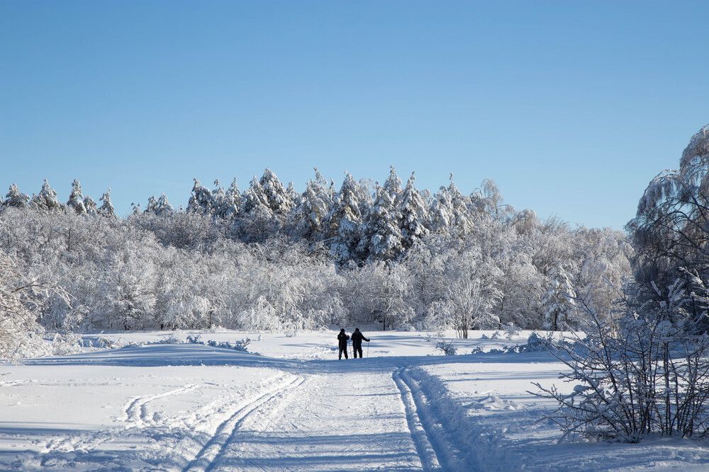 Photograph by Карнаухов Алексей