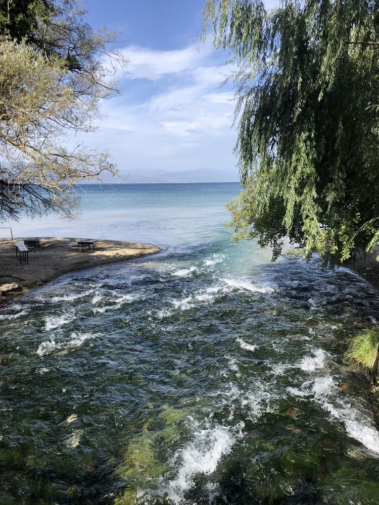 Photograph by KristinaŽivković