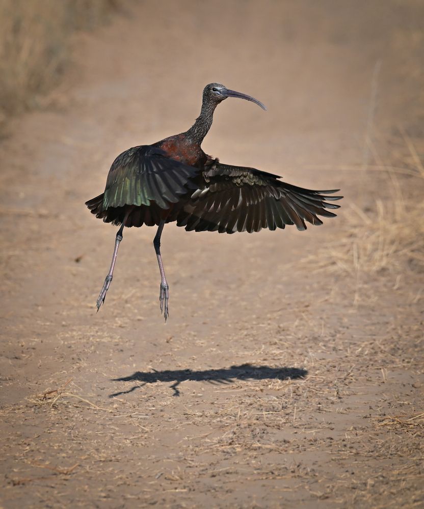 Photograph by Алла Кожевникова