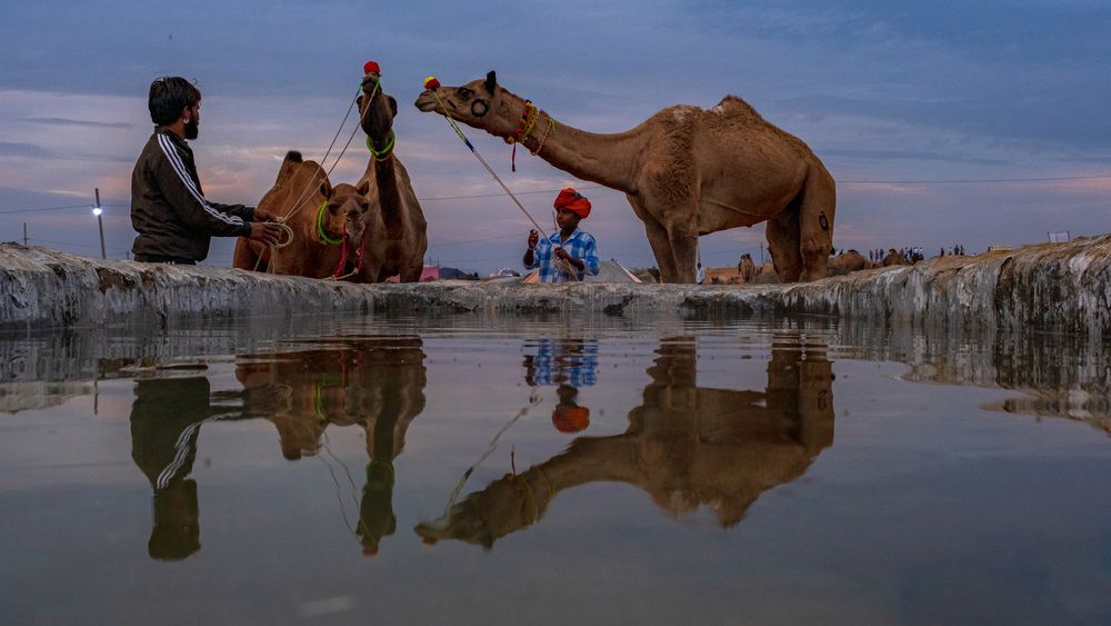 Photograph by Anuj Medhavi