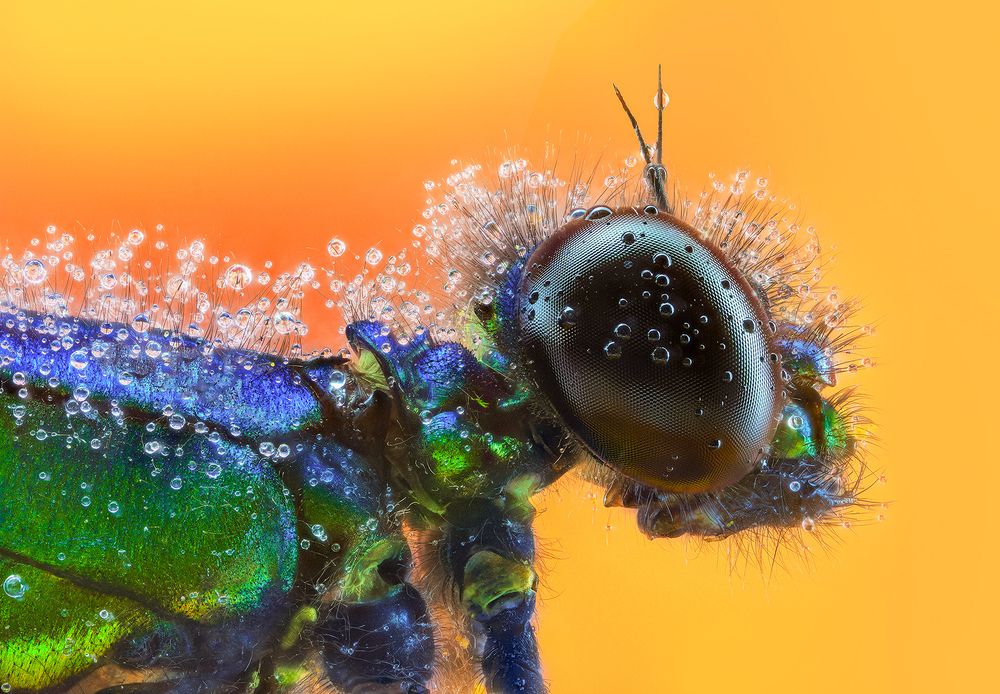Photograph by Pedro Luis Ajuriaguerra Saiz
