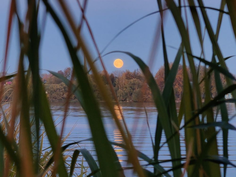 Photograph by Александр Сырейщиков