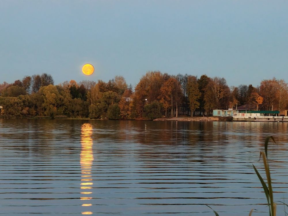 Photograph by Александр Сырейщиков
