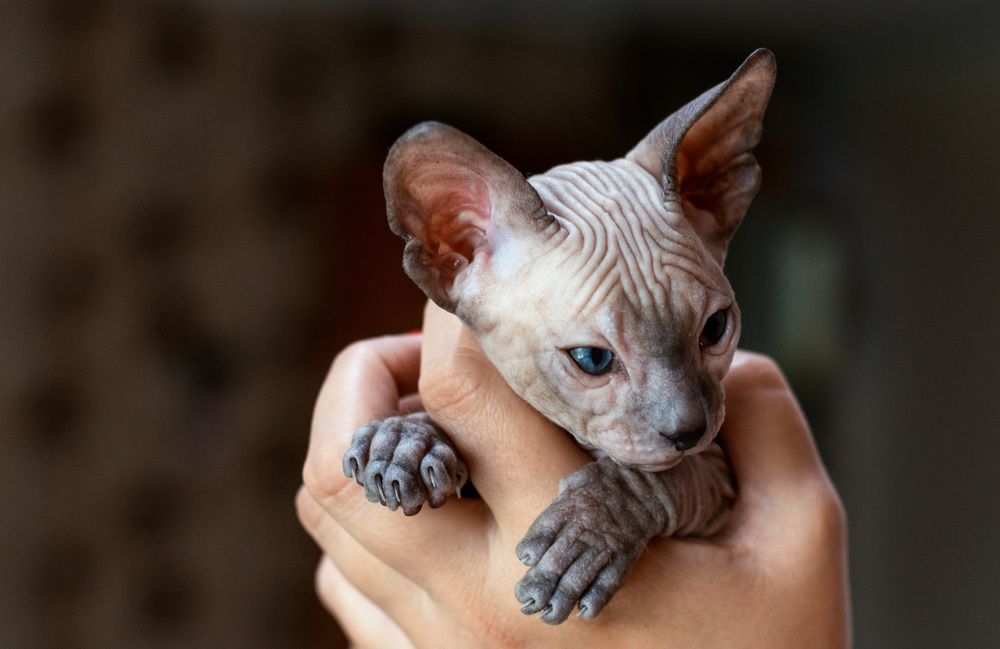 Photograph by Прохоров Денис